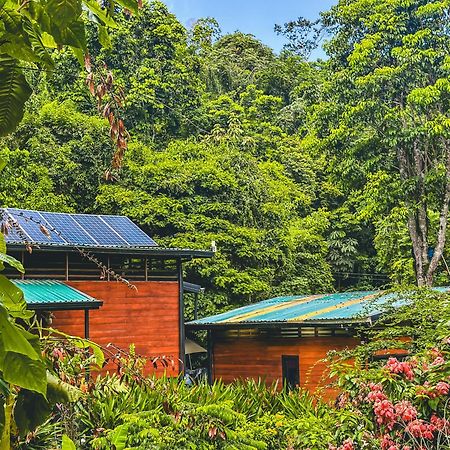 Selva Madre Eco-Sanctuary Aparthotel Cahuita Exterior foto