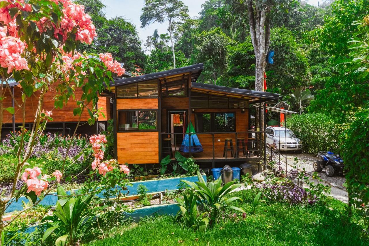 Selva Madre Eco-Sanctuary Aparthotel Cahuita Exterior foto