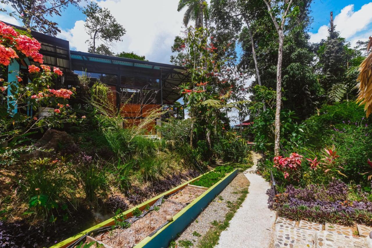 Selva Madre Eco-Sanctuary Aparthotel Cahuita Exterior foto