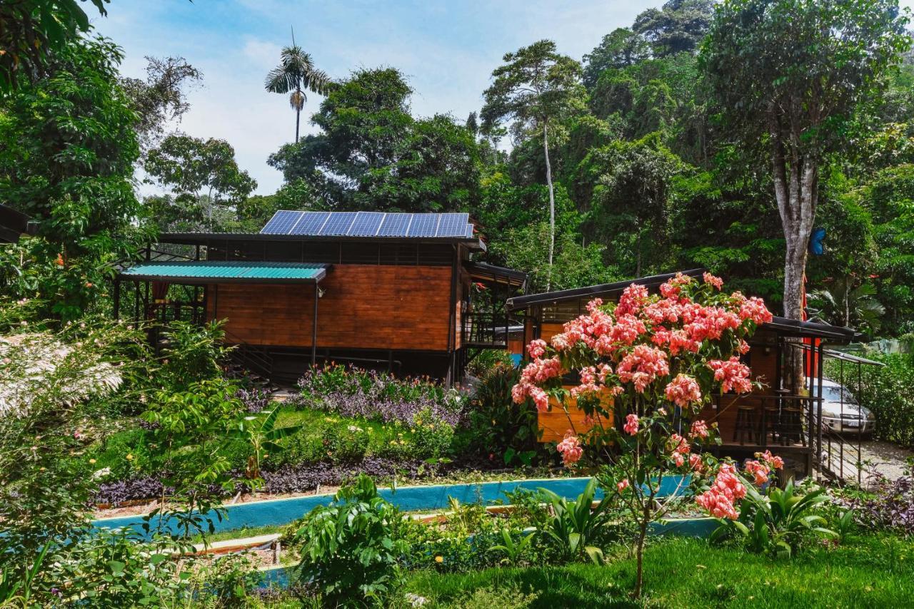 Selva Madre Eco-Sanctuary Aparthotel Cahuita Exterior foto