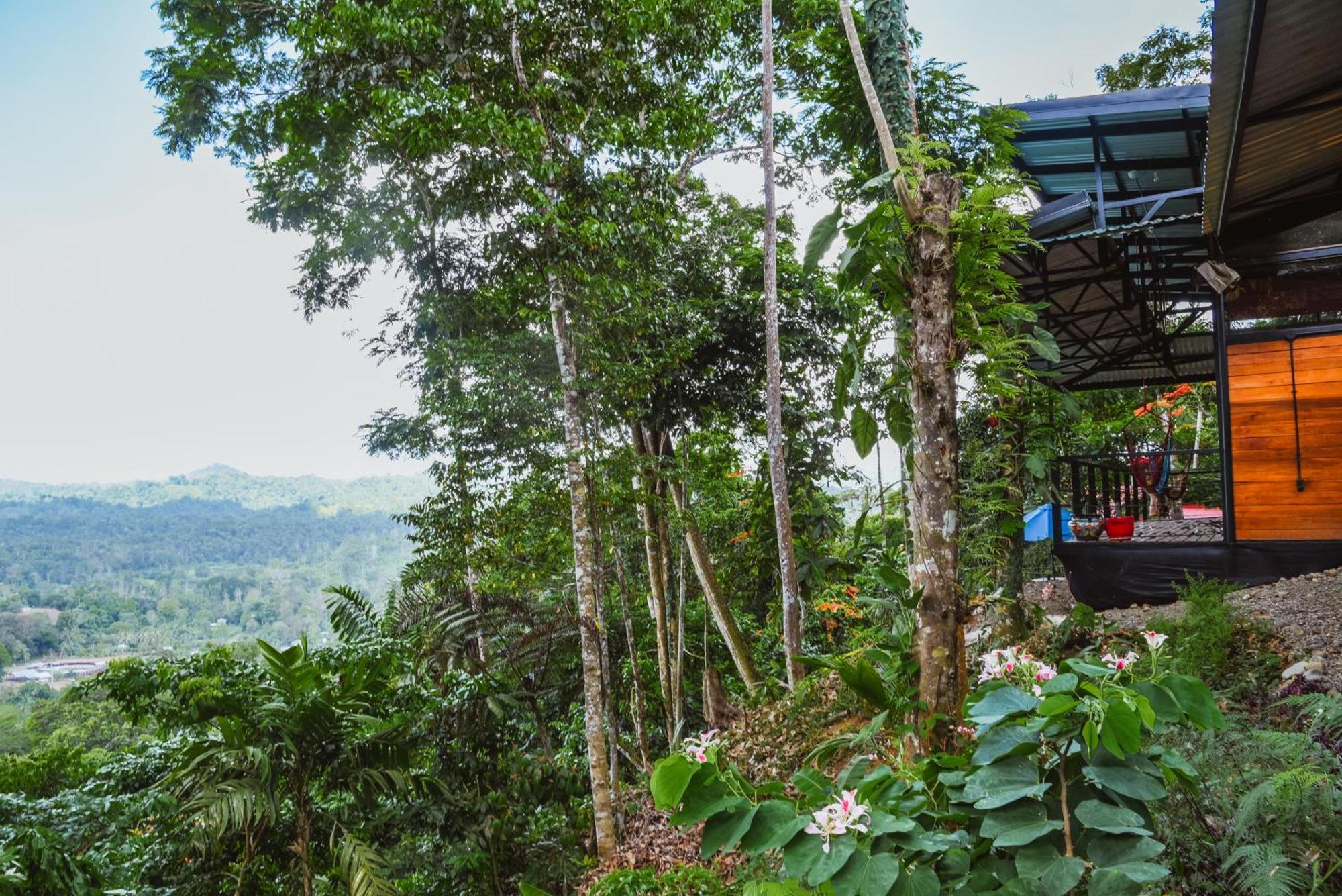 Selva Madre Eco-Sanctuary Aparthotel Cahuita Exterior foto
