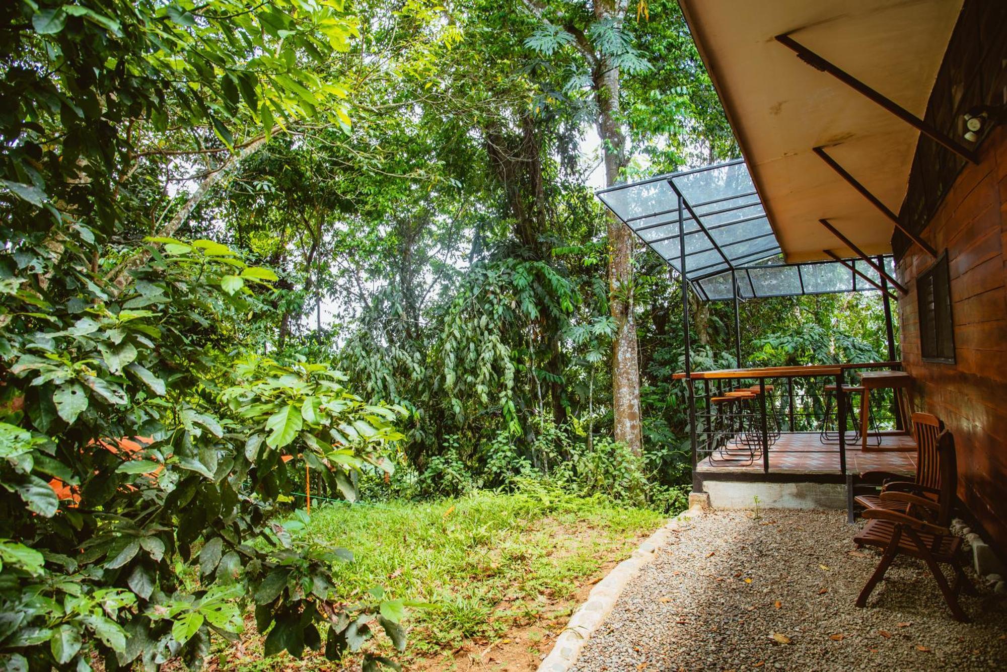 Selva Madre Eco-Sanctuary Aparthotel Cahuita Exterior foto