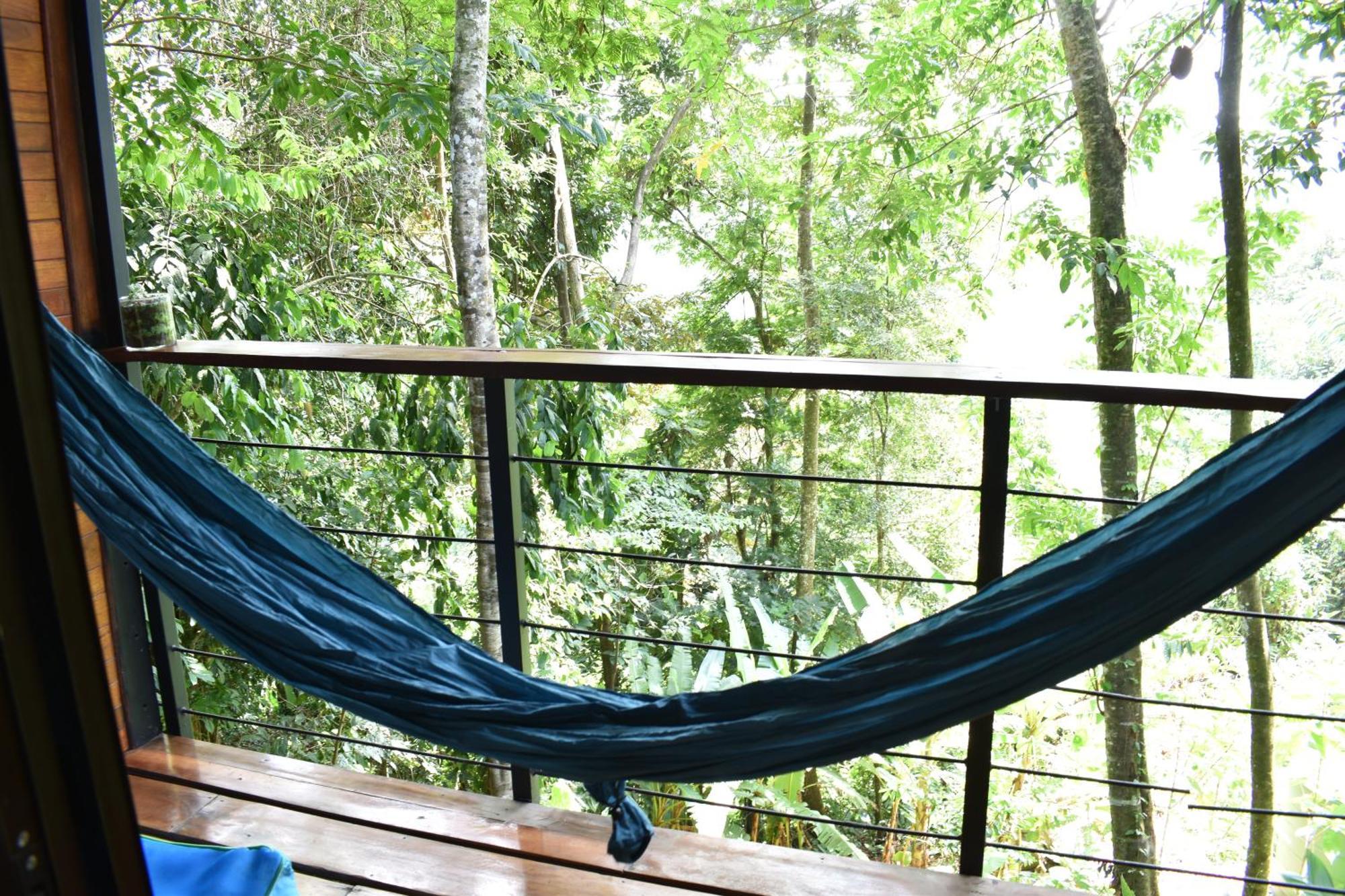 Selva Madre Eco-Sanctuary Aparthotel Cahuita Exterior foto