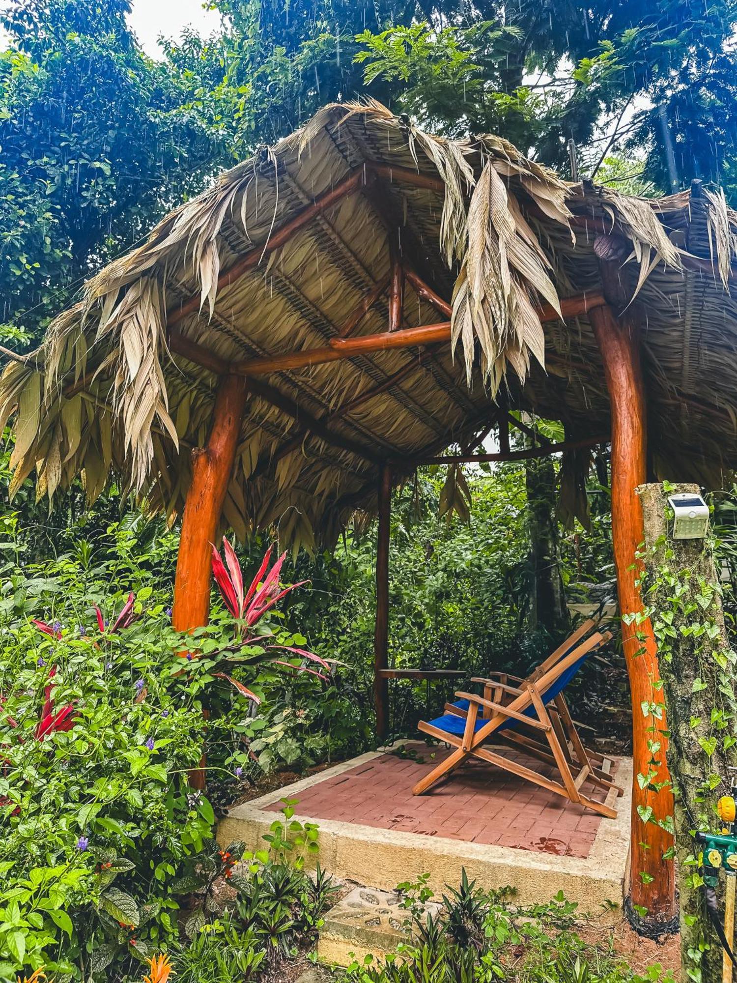 Selva Madre Eco-Sanctuary Aparthotel Cahuita Exterior foto