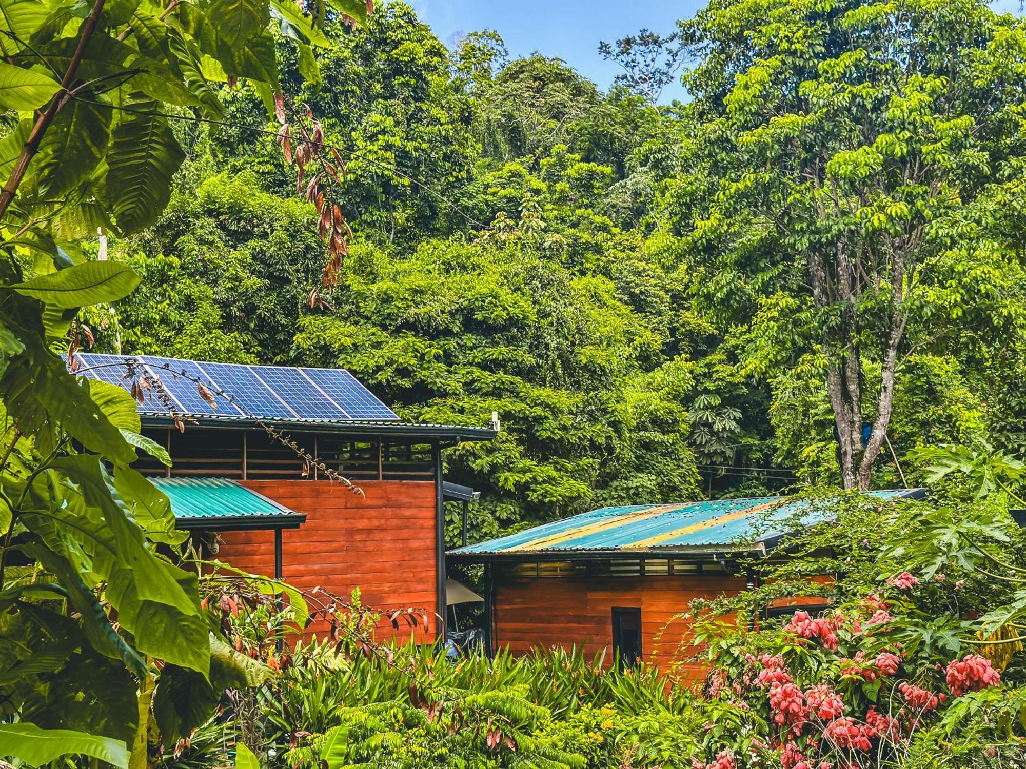 Selva Madre Eco-Sanctuary Aparthotel Cahuita Exterior foto