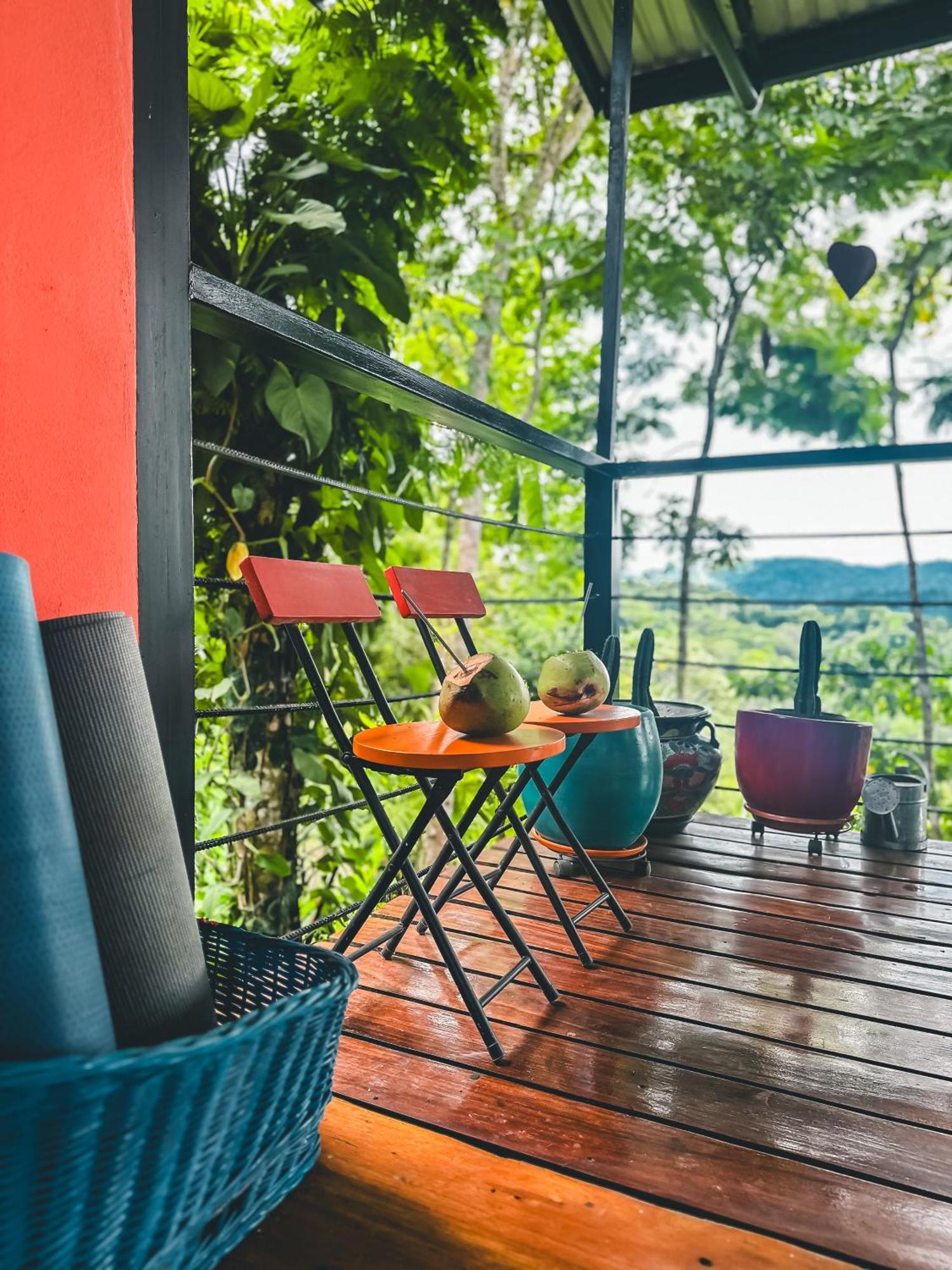 Selva Madre Eco-Sanctuary Aparthotel Cahuita Exterior foto