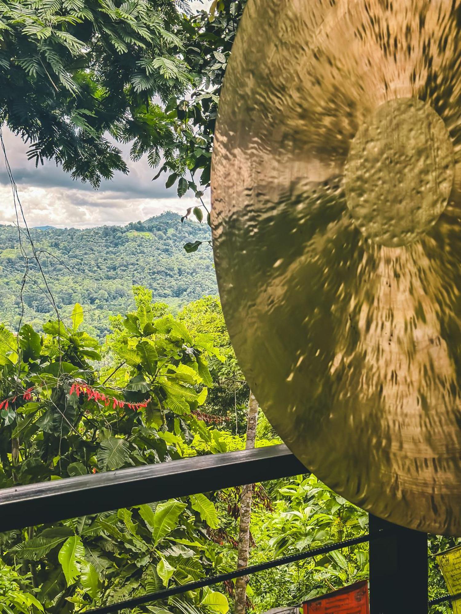 Selva Madre Eco-Sanctuary Aparthotel Cahuita Exterior foto