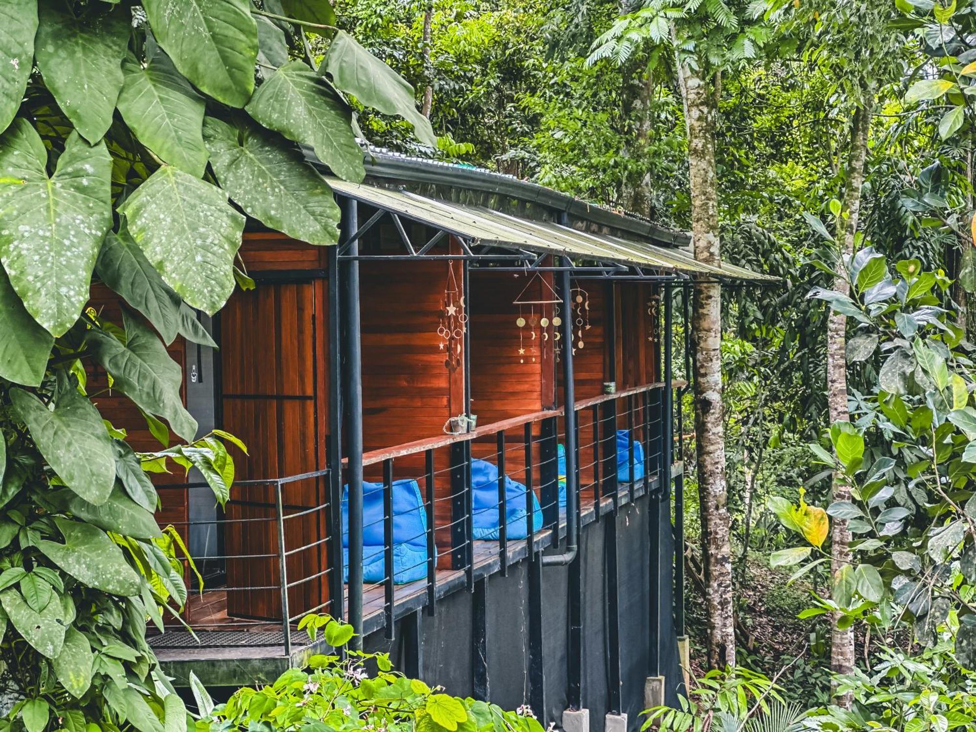 Selva Madre Eco-Sanctuary Aparthotel Cahuita Exterior foto